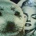 Marilyn Seal Photo 24