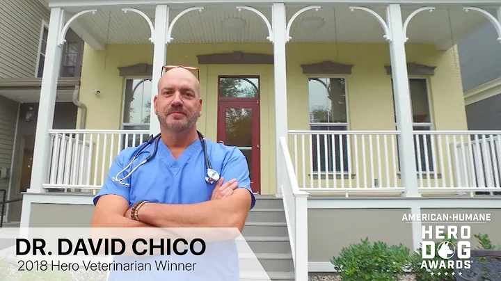 David Chico Photo 25