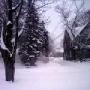 Julie Nowicki Photo 17