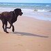 Mitzie Brown Photo 26