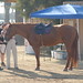 Rebecca Tyson Photo 37