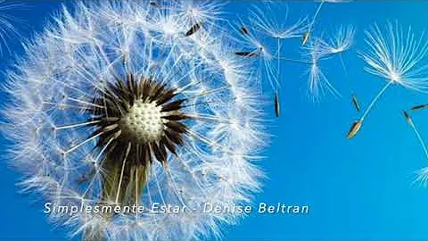 Denise Beltran Photo 21