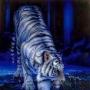 Jason Boothe Photo 24