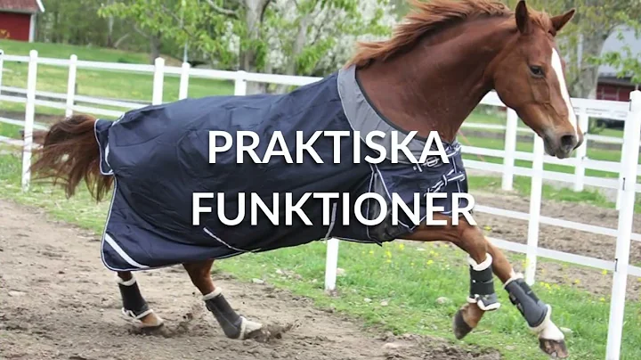 Patrick Jacobsen Photo 26