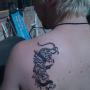 Shane Pinder Photo 10
