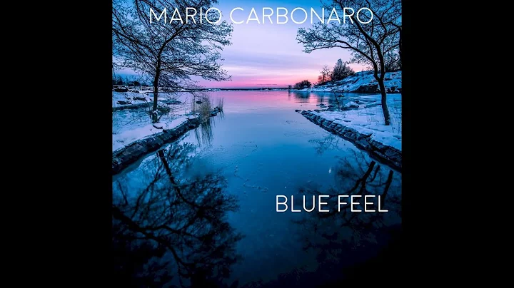 Mario Carbonaro Photo 11