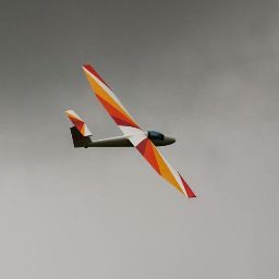 Roger Hayward Photo 13
