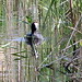 April Coots Photo 21