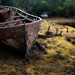 Samuel Seaman Photo 21