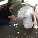 Aimee Watkins Photo 34