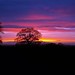 Richard Linley Photo 33