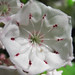 Angel Heath Photo 39