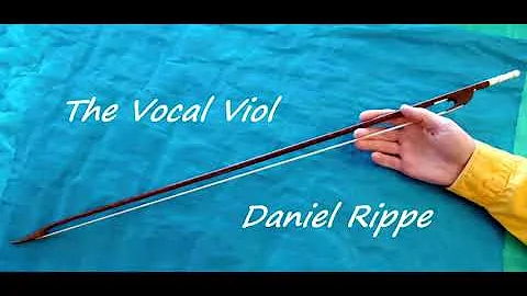 Daniel Rippe Photo 10