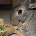 Dusty Dean Photo 34