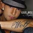 Karl Wolf Photo 5