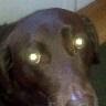 Joann Mccloud Photo 5