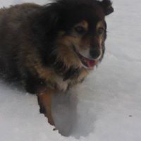 Penny Roy Photo 1