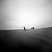 Steven Settle Photo 22