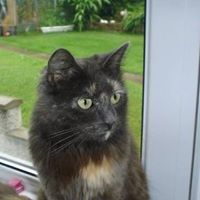 Josie Evans Photo 5