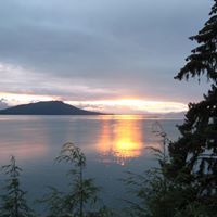 Ann Knotts Photo 4
