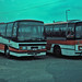 Steven Ives Photo 29