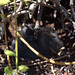 Don Newell Photo 36