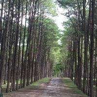 Shan Lu Photo 1