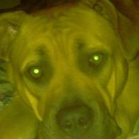 David Tuma Photo 3