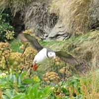 Paul Hickey Photo 5