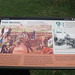 Steven Abrahams Photo 17