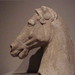 Walter Steed Photo 21