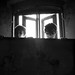 James Rand Photo 47