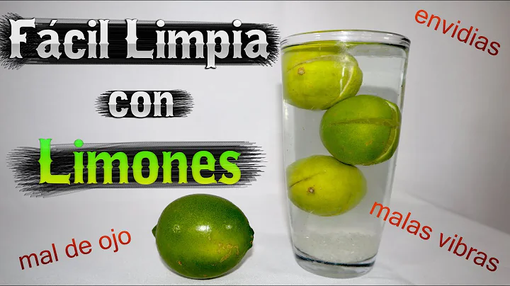Limones Salas Photo 8
