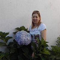 Nancy Jose Photo 8