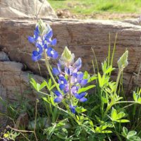 Karen Raby Photo 6