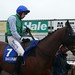 Ruby Walsh Photo 28