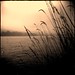 Paul Moses Photo 42
