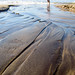 Sandy Compton Photo 37