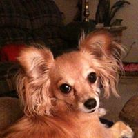 Ruth Hanson Photo 5