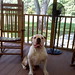 Stephen Applegate Photo 22