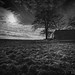 Collin Peterson Photo 35