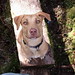 John Juneau Photo 28