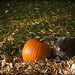 Larry Winer Photo 22