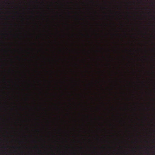 Tyler Quick Photo 8
