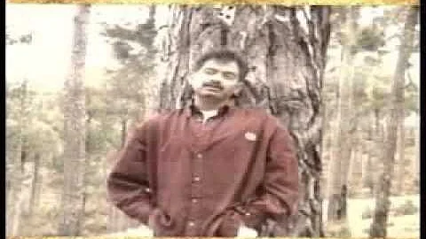 Amir Salim Photo 21