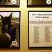 Tammy Winslow Photo 29