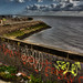 Rusty Graham Photo 29