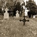 Eric Blau Photo 25