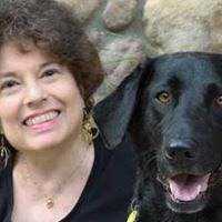 Debra Wingfield Photo 1