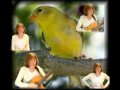 Chris Birdsong Photo 29